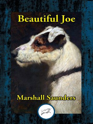 cover image of Beautiful Joe